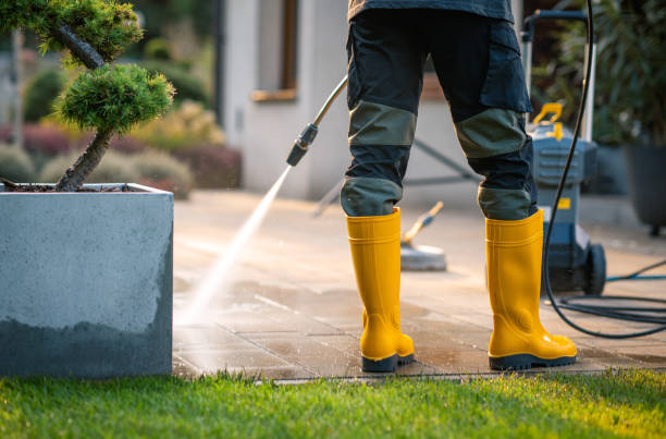 Best Pressure Washing Near Me  in Hlcrest, IL